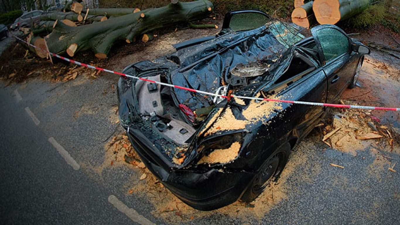 Ein von einem umgestürzten Baum zerstörtes Auto im Hamburger Stadtteil Harvestehude - Orkan "Niklas" war einer der stärksten Stürme der vergangenen Jahre.