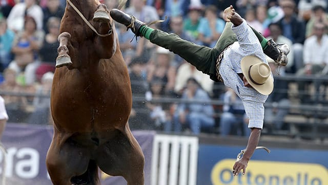 Nur für die Härtesten: Beim Gaucho-Festival in Montevideo geht es waghalsig zu.