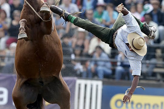 Nur für die Härtesten: Beim Gaucho-Festival in Montevideo geht es waghalsig zu.