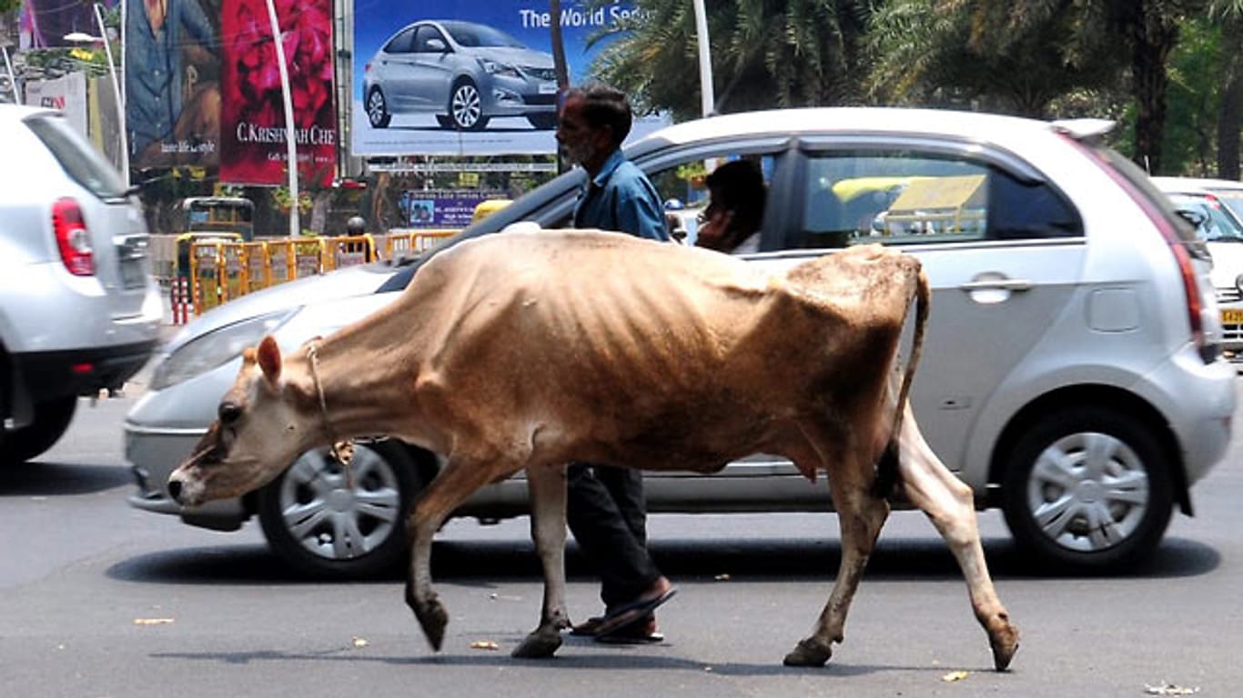 Eine Kuh auf der Straße in der südindischen Stadt Bangalore.