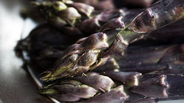 Leider ist violetter Spargel relativ selten – dabei schmeckt er aromatischer und ist gesünder.