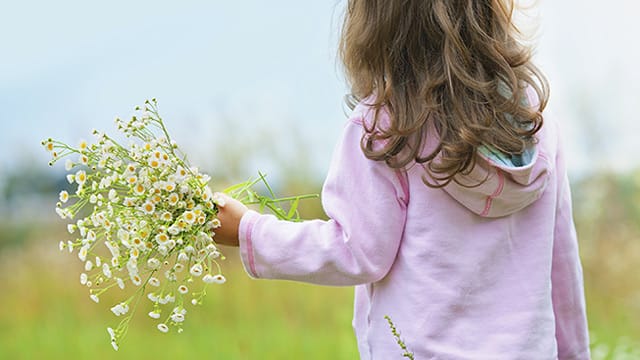 Der niedersächsische Kinderschutzbund hat so viele Spendengelder wie noch nie bekommen.