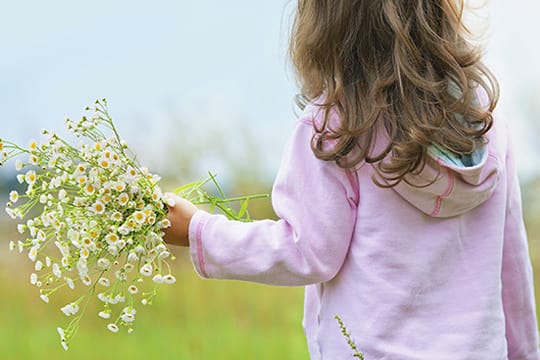 Der niedersächsische Kinderschutzbund hat so viele Spendengelder wie noch nie bekommen.