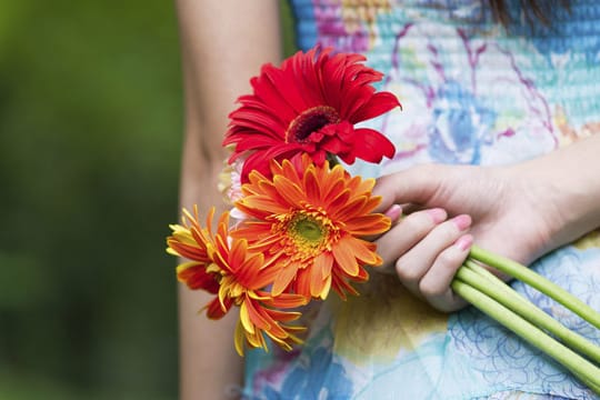 Sag es durch die Blume: Mit der Gerbera lassen sich auch Dinge ausdrücken, die ungesagt bleiben.