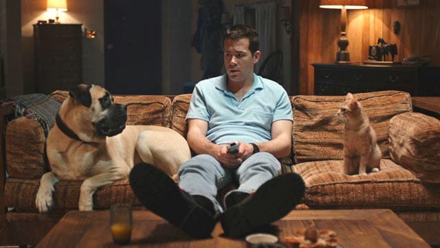 Hund Bosco, Jerry (Ryan Reynolds) und Kater Mr. Whiskers haben sich einiges zu erzählen.