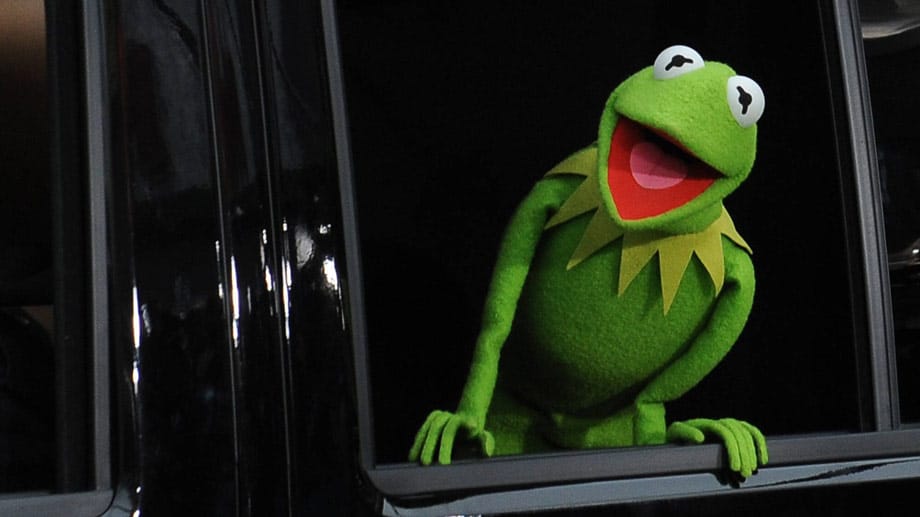 Nämlich Kermit aus der "Muppet Show"! Einer der wenigen Unterschiede: Kermit ist deutlich größer als der "echte", der es nur auf 2,5 Zentimeter Körpergröße bringt. Nämlich Kermit aus der "Muppet Show"! Einer der wenigen Unterschiede: Kermit ist deutlich größer als der "echte", der es nur auf 2,5 Zentimeter Körpergröße bringt.