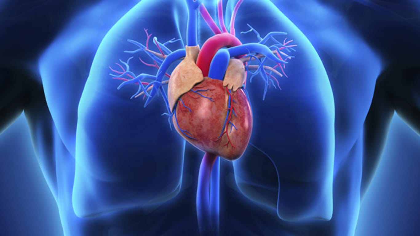 Hoher Blutdruck lässt auf Dauer die Herzwände verdicken - das schwächt das Herz.