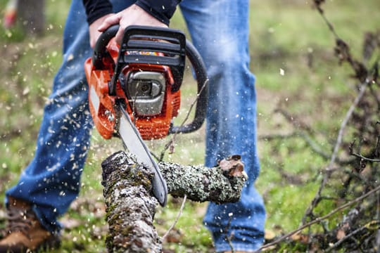 Bei Arbeiten mit der Kettensäge kommt es nicht nur auf ein gutes Gerät an. Auch Sicherheitskleidung wie Schnittschutzhose und Handschuhe gehören eigentlich unbedingt dazu.