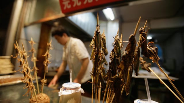 Delikatessen chinesischer Küche sind nicht jedermanns Sache.