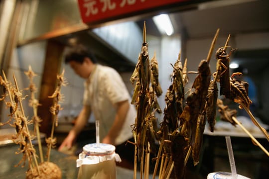 Delikatessen chinesischer Küche sind nicht jedermanns Sache.