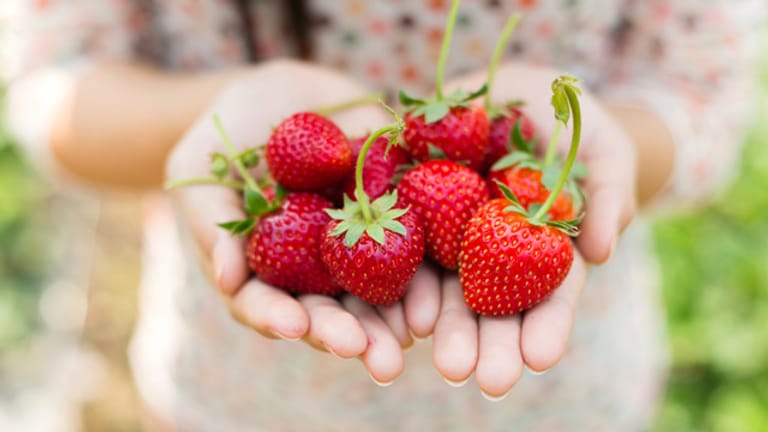 Erdbeeren schmecken lecker, sehen hübsch aus und sind gesund.
