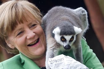 Bundeskanzlerin Angela Merkel amüsiert sich über einen gefräßigen Katta.