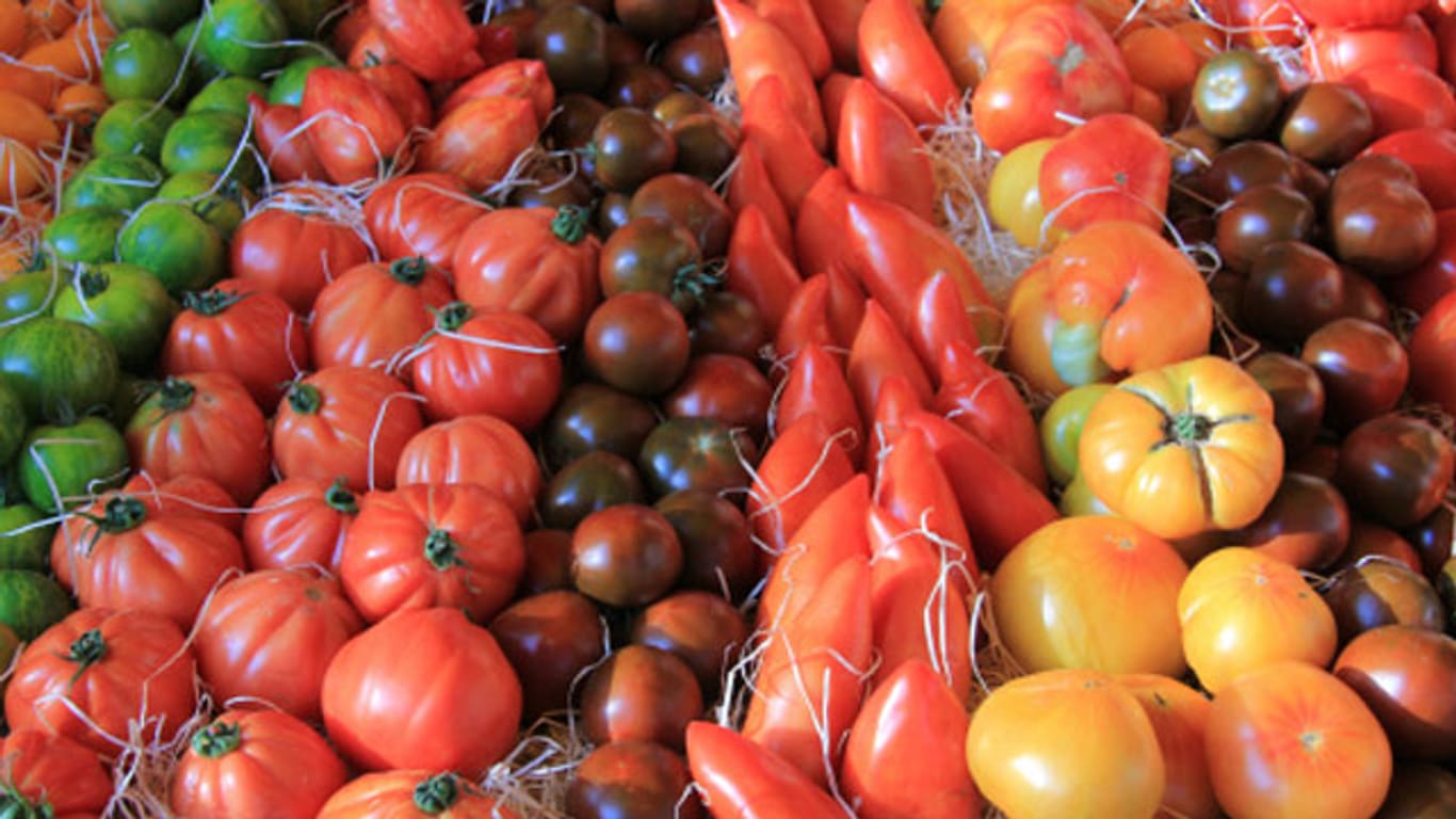 Auf den Märkten gibt es viele Tomatensorten für jeden Geschmack.