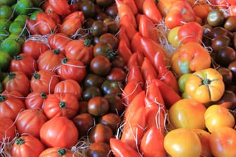 Auf den Märkten gibt es viele Tomatensorten für jeden Geschmack.