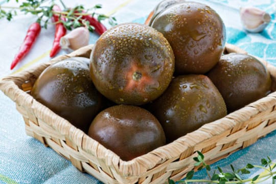 Schwarze Tomaten haben ungewohnte dunkle Färbung und süßes, intensives Aroma.