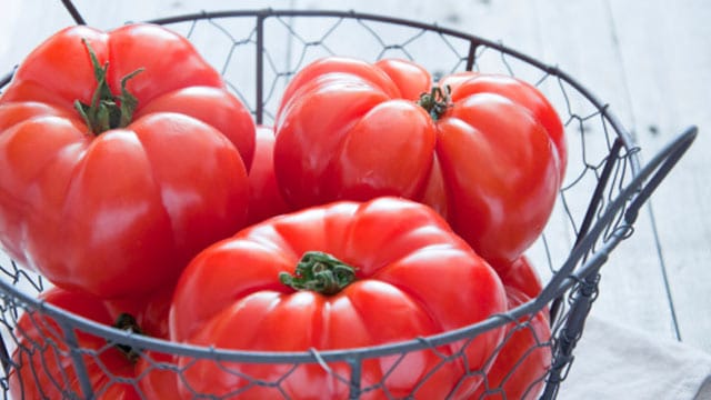 Die Früchte der Fleischtomaten haben unterschiedliche Größe und können bis zu 500 Gramm schwer werden.