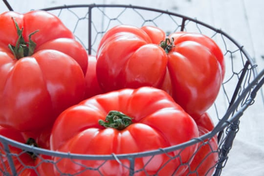 Die Früchte der Fleischtomaten haben unterschiedliche Größe und können bis zu 500 Gramm schwer werden.