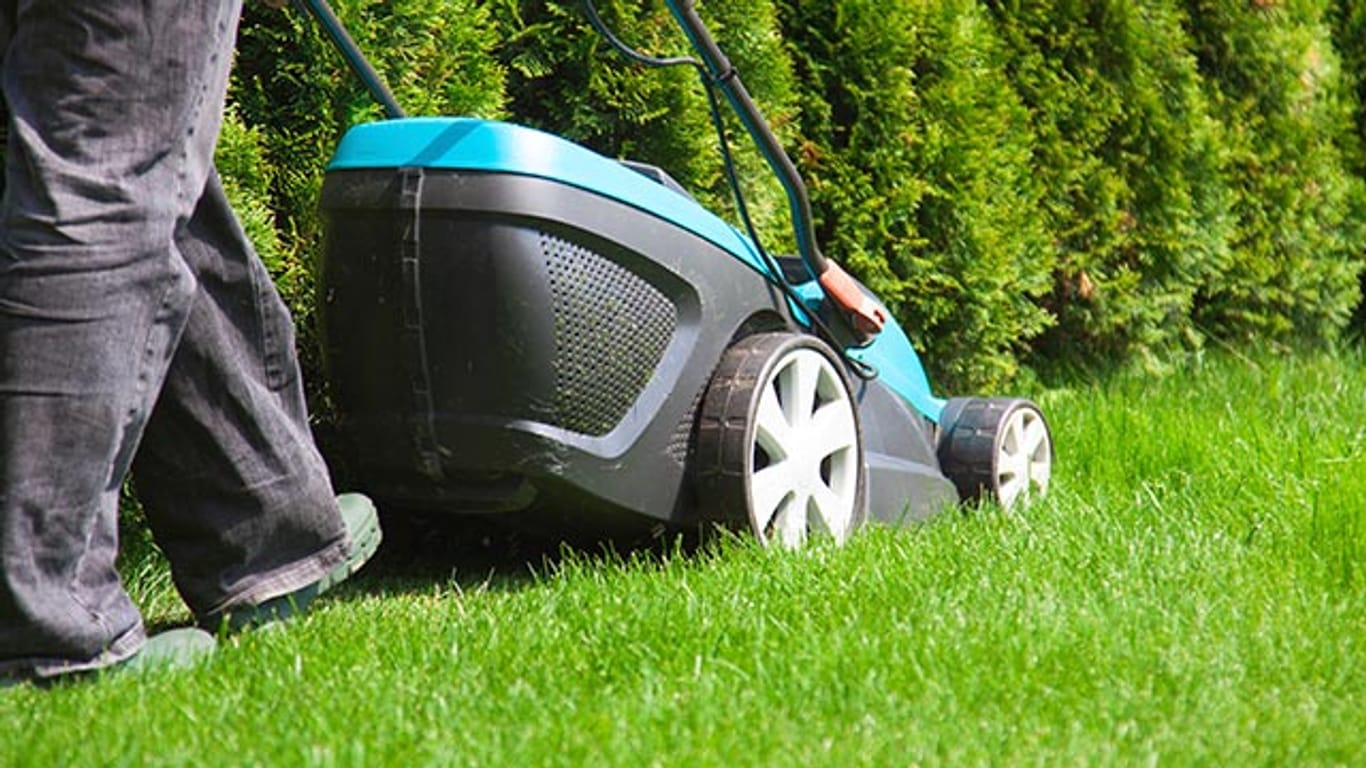 Elektro, Akku, Benzin oder Roboter: Der Rasenmäher muss zur Fläche passen.