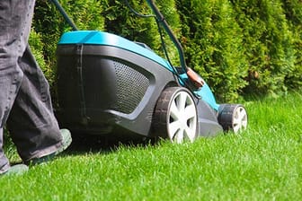 Elektro, Akku, Benzin oder Roboter: Der Rasenmäher muss zur Fläche passen.