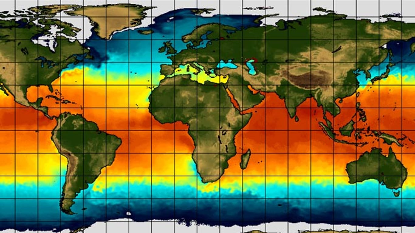 Die Verteilung der Ozeantemperaturen: Eine Störung dieses komplexen Gefüges hat meistens katastrophale Folgen.