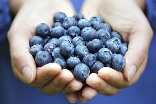 Heidelbeeren werden aufgrund ihrer Farbe auch oft Blaubeeren genannt.