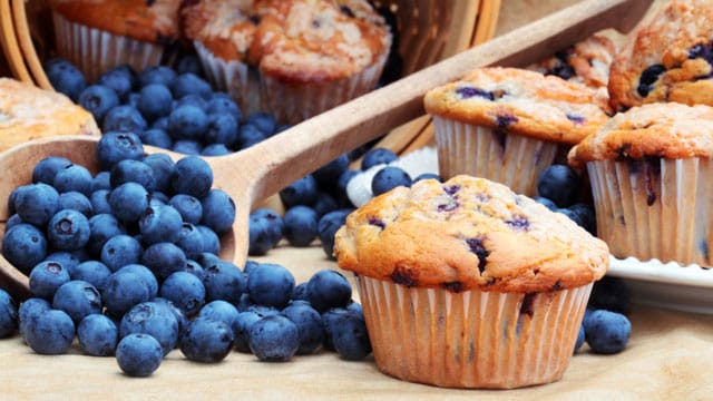 Der süße Teig der Muffins harmoniert perfekt mit den fruchtigen Blaubeeren.