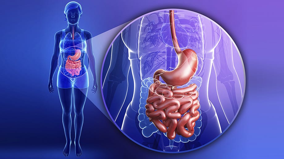 Menschlicher Darm: Antibiotika wirkungslos - was nun?