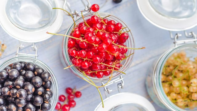 Johannisbeeren unterscheiden sich nicht nur durch ihre Farbe voneinander, sondern auch durch ihre Inhaltsstoffe.