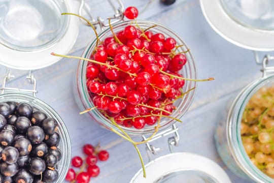 Johannisbeeren unterscheiden sich nicht nur durch ihre Farbe voneinander, sondern auch durch ihre Inhaltsstoffe.