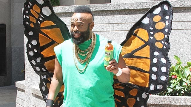 Mr. T zeigt sich in New York als Schmetterling.