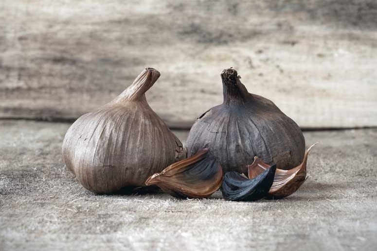 Schwarzer Knoblauch sieht spannend auf dem Teller aus und schmeckt mild-süßlich ohne Schärfe, aber mit Noten nach Rauch und Lakritz. Er entsteht durch die Fermentierung junger Knollen bei mäßig hoher Temperatur und intensiver Luftfeuchtigkeit. Das dauert etwa zwei Monate. In China und Asien ist schwarzer Knoblauch eine uralte Zutat, nun ist sie auch hier im Trend.