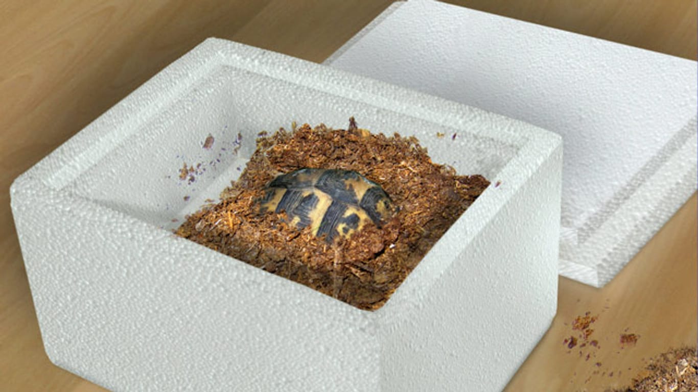 Sie können die Schildkrötenbox mit Substraten wie Kiefernrinde befüllen.