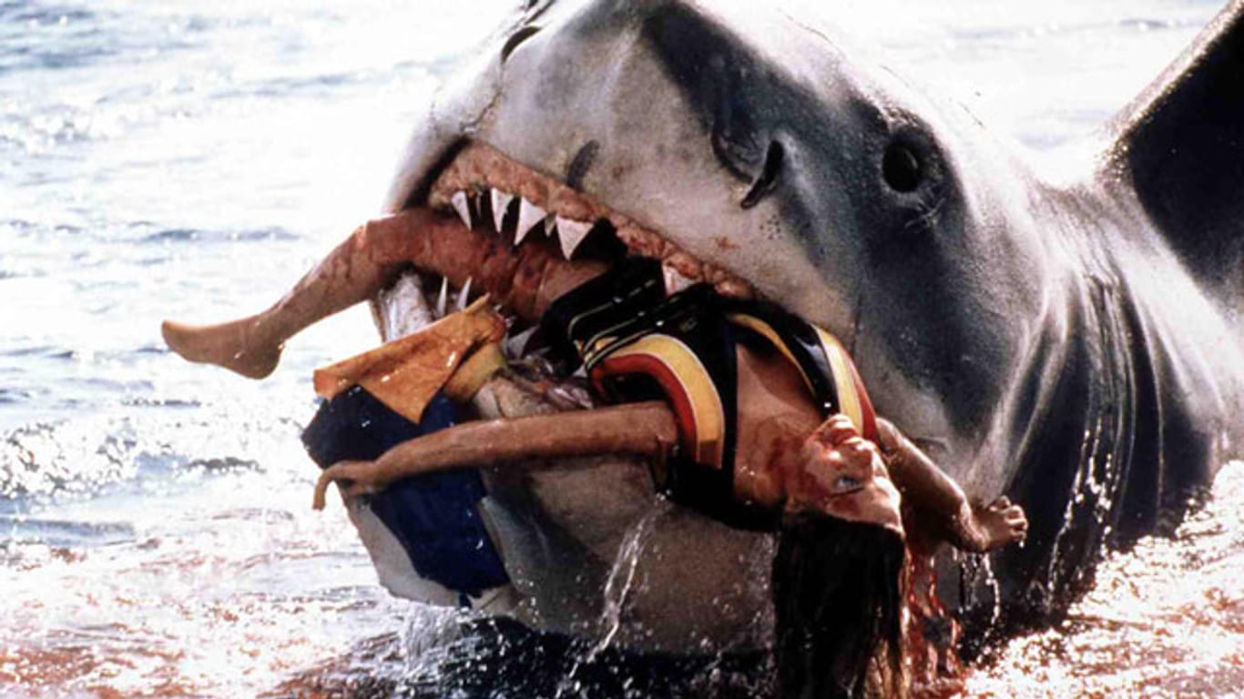 Vor 40 Jahren kam Steven Spielbergs Meisterwerk "Der Weiße Hai" in die Kinos.