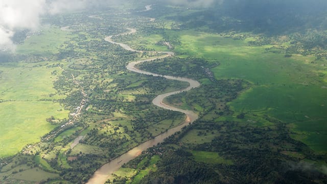 Regenwälder wie hier auf Madagaskar müssen immer mehr dem Menschen weichen - mit dramatischen Folgen für die Artenvielfalt.