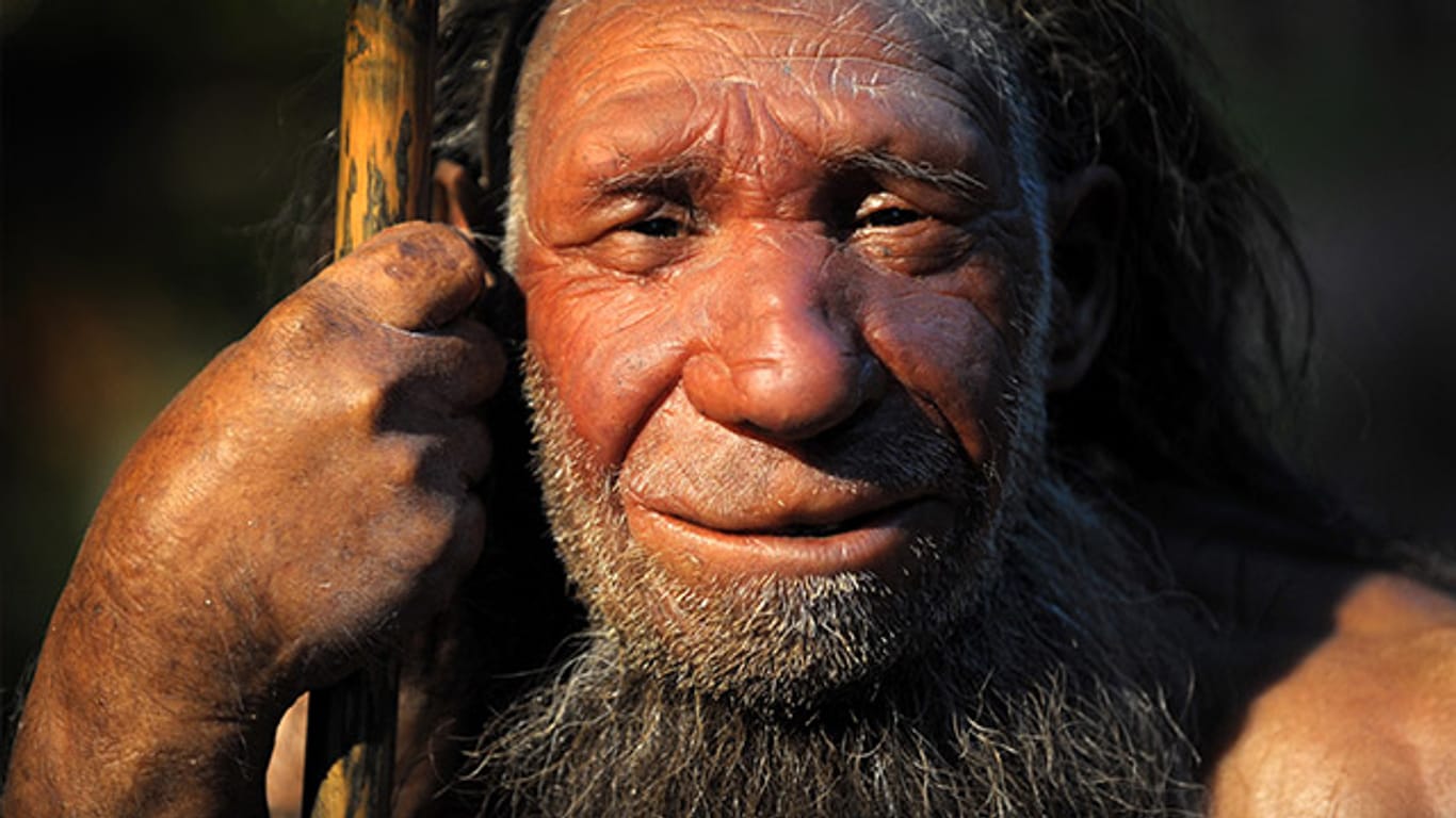 Nachbildung eines älteren Neandertalers aus dem Neanderthal Museum in Mettmann.