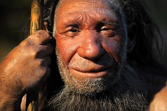 Nachbildung eines älteren Neandertalers aus dem Neanderthal Museum in Mettmann.