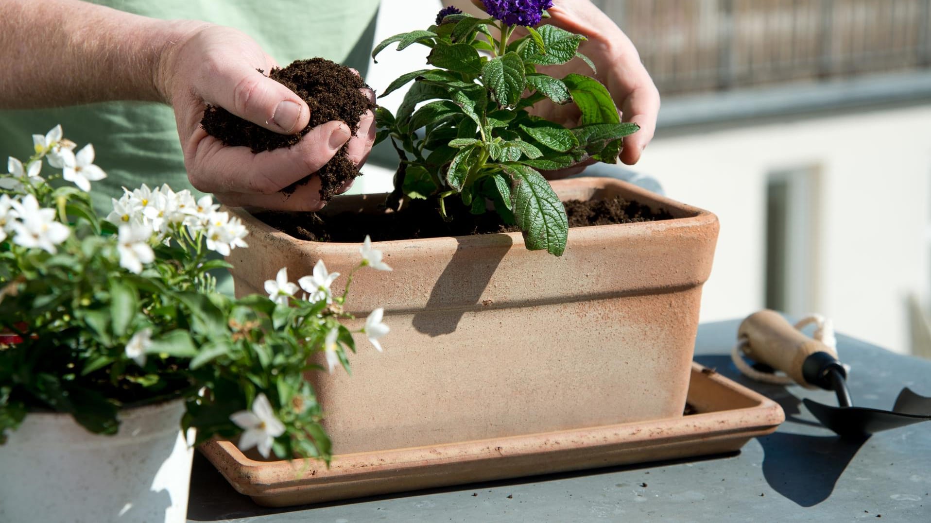 Hochwertige Blumenerde kann man selber mischen.