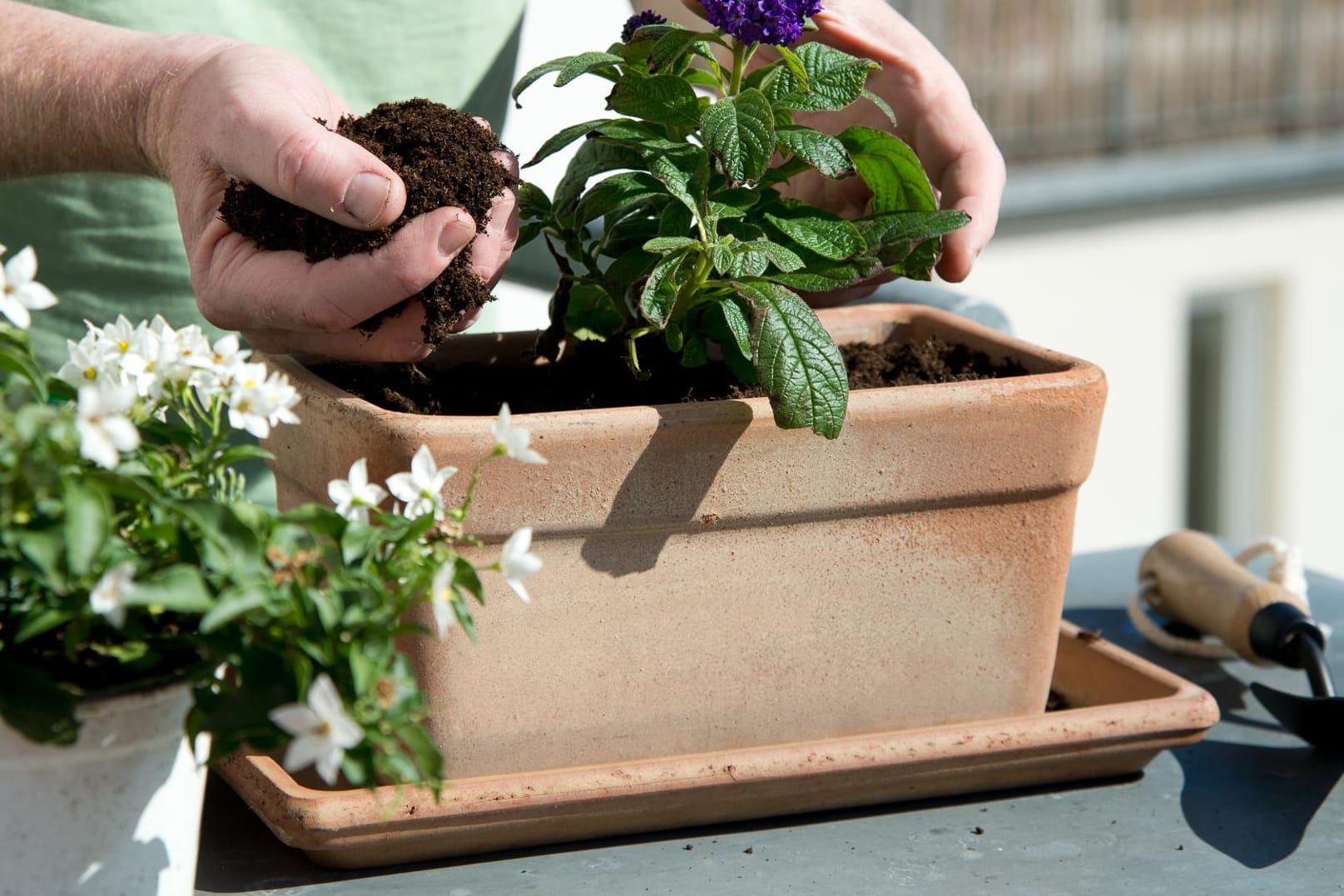 Hochwertige Blumenerde kann man selber mischen.