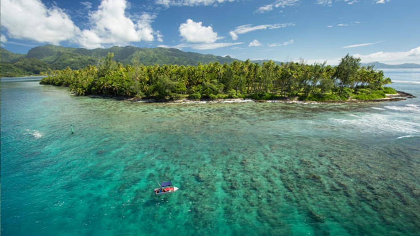 Die Trauminsel Maraeroa gehört zu Französisch Polynesien und steht nun über Tchibo zum Verkauf.