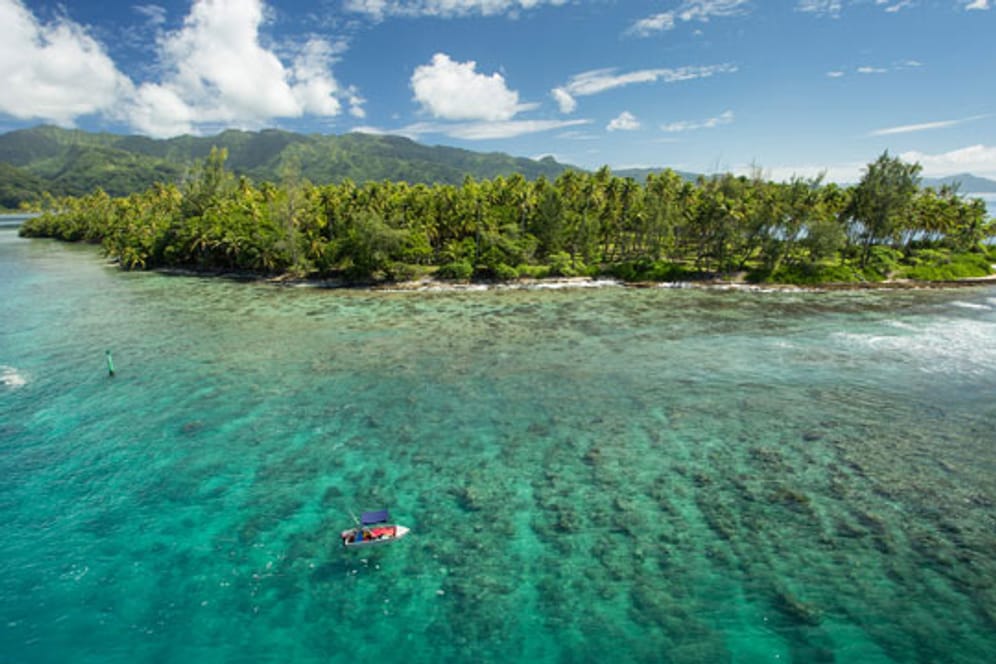 Die Trauminsel Maraeroa gehört zu Französisch Polynesien und steht nun über Tchibo zum Verkauf.