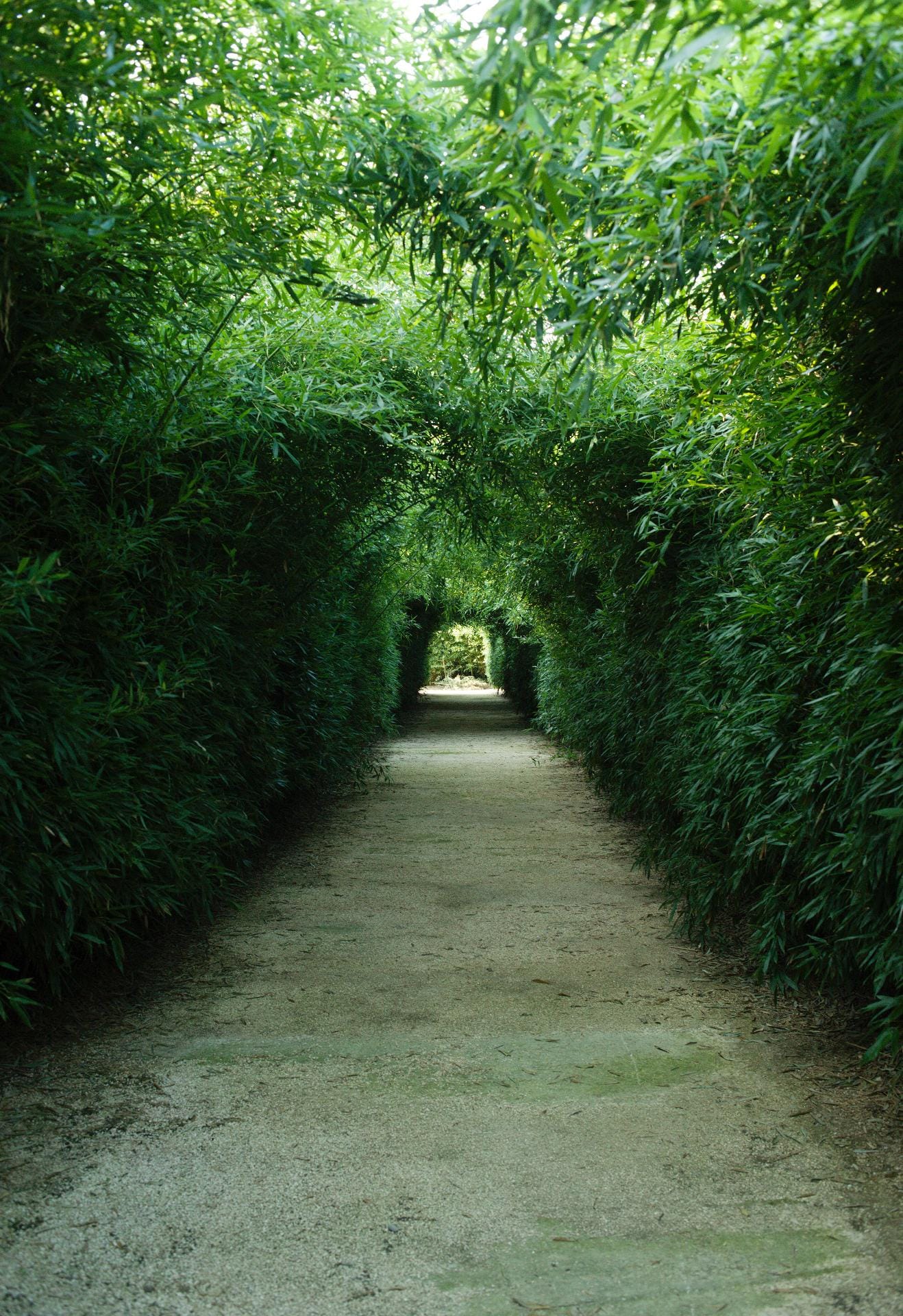 Der bekannte italienische Designer und Verleger Franco Maria Ricci hat sich in der Nähe von Parma in Norditalien mit einem Riesen-Labyrinth einen Kindheitstraum erfüllt.