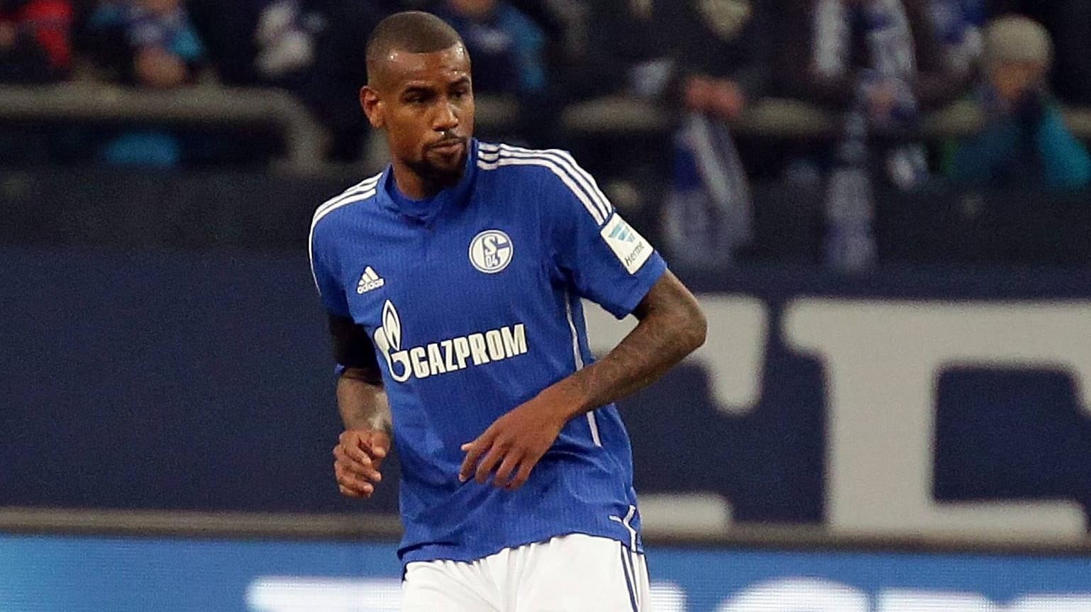 20 12 2014 xovx Fussball 1 Bundesliga FC Schalke 04 Hamburger SV Felipe Santana FC Schalke 04