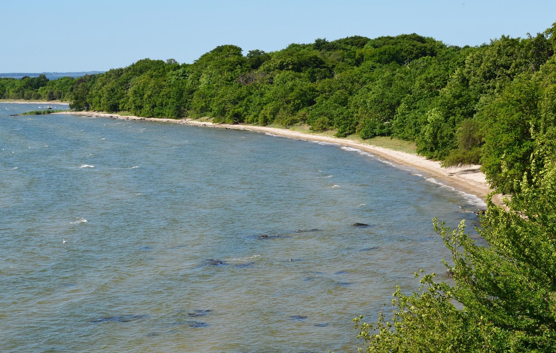 Vilm ist Teil des Biosphärenreservats Südost-Rügen und ein Naturreservat erster Güte.