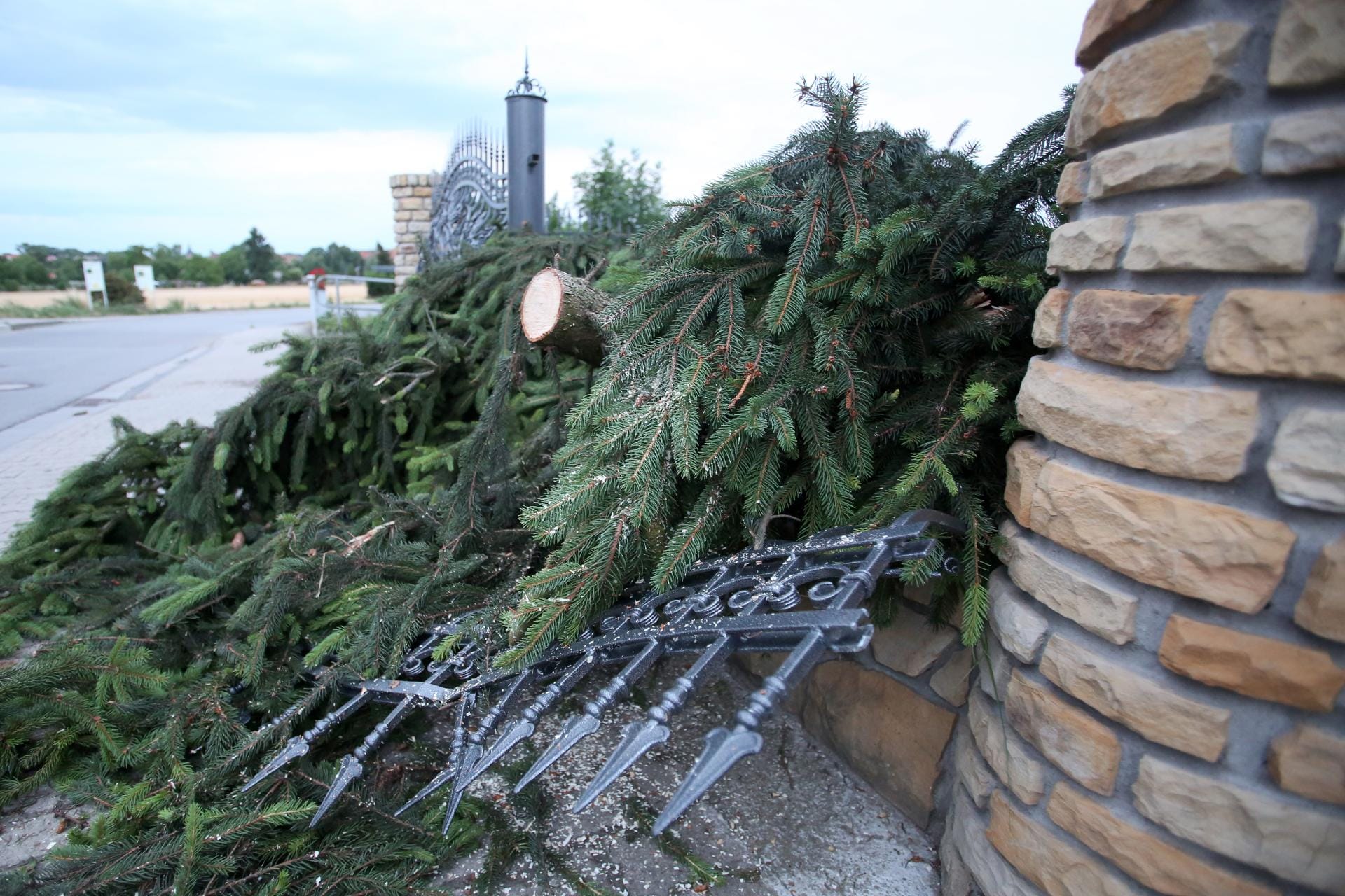 Die Unwetter rissen außerdem Bäume um - in diesem Fall zerstörte das einen Zaun. Die Unwetter rissen außerdem Bäume um - in diesem Fall zerstörte das einen Zaun.