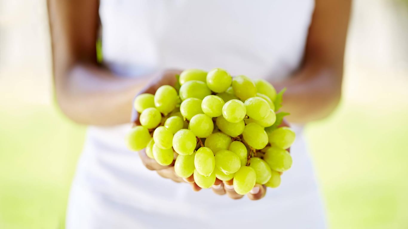 Weiße Trauben enthalten etwas weniger Kalorien als rote.