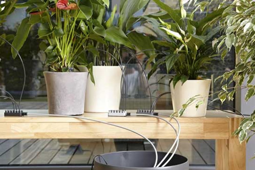 Ein automatisches Bewässerungssystem versorgt Zimmerpflanzen während des Urlaubs mit Wasser.