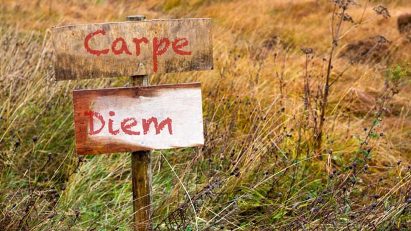 Carpe Diem ist für viele ein erstrebenswertes Lebensmotto. Aber auch andere lateinische Redewendungen werden im Alltag genutzt.