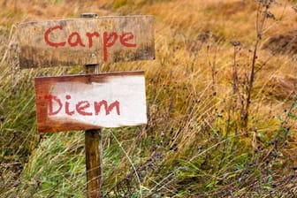 Carpe Diem ist für viele ein erstrebenswertes Lebensmotto. Aber auch andere lateinische Redewendungen werden im Alltag genutzt.