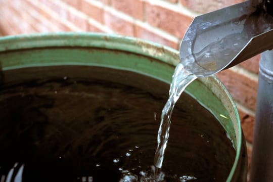 Wenn es häufig regnet und das Wasser nicht steht, brauchen Sie keine Stechmücken in Ihrer Regentonne zu fürchten.