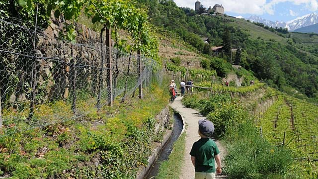 Der Algunder Waal ist ein sehr beliebter Wanderweg.